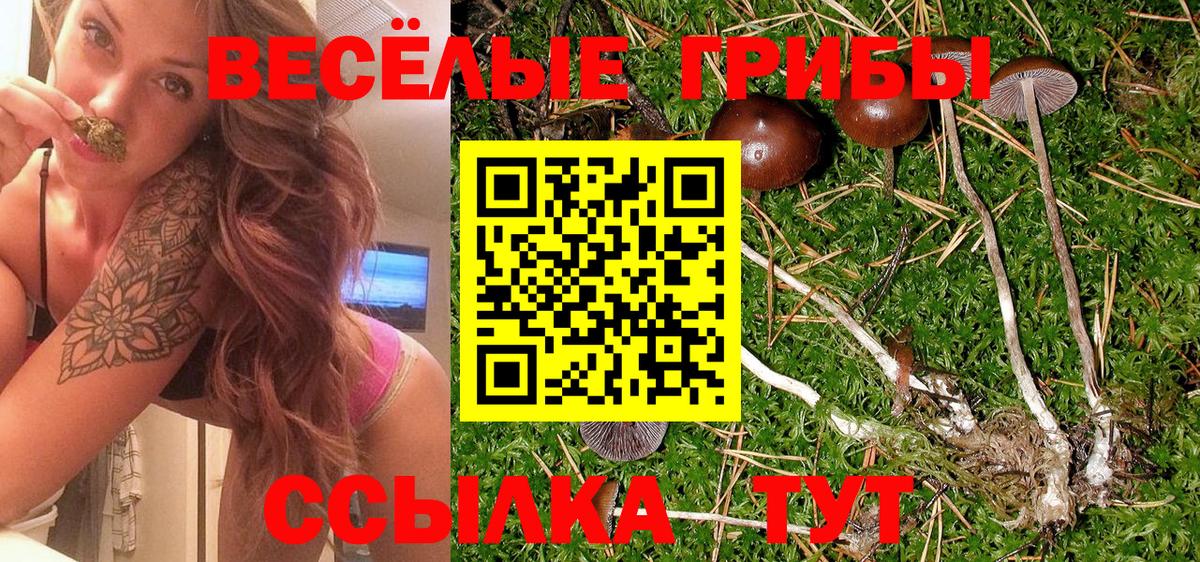 Альфа ПВП Вятские Поляны